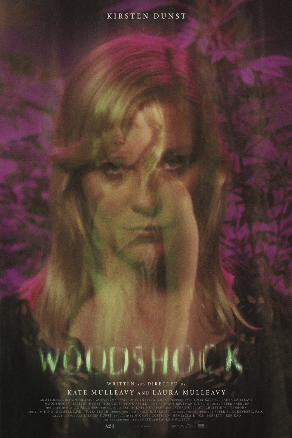 L'affiche du film Woodshock