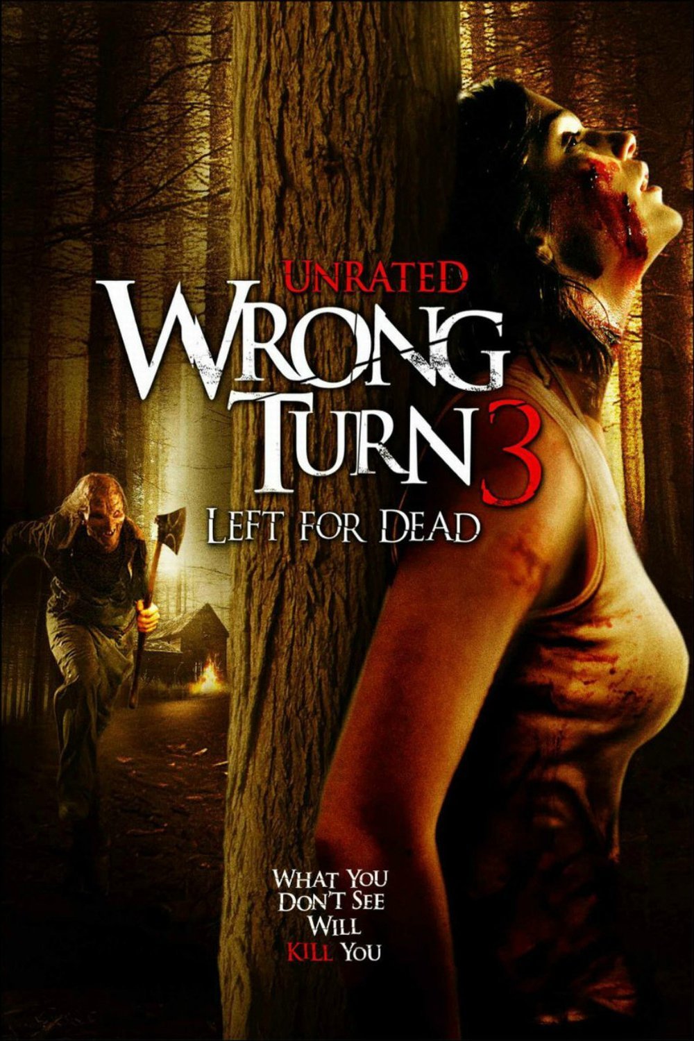 L'affiche du film Wrong Turn 3: Left for Dead