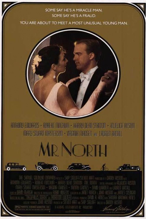 Poster of the movie Mr. North