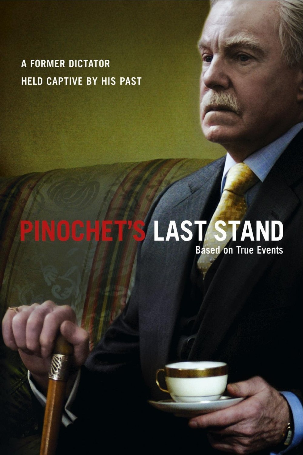L'affiche du film Pinochet's Last Stand