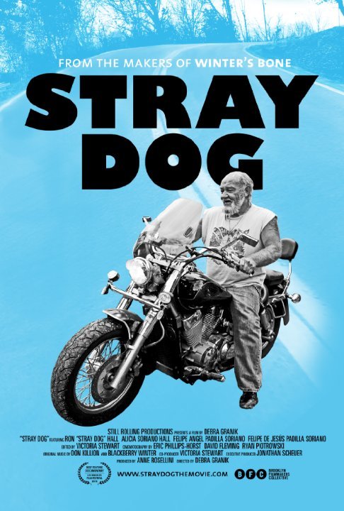 L'affiche du film Stray Dog