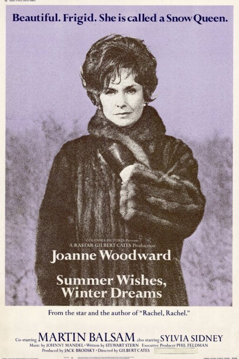 L'affiche du film Summer Wishes, Winter Dreams