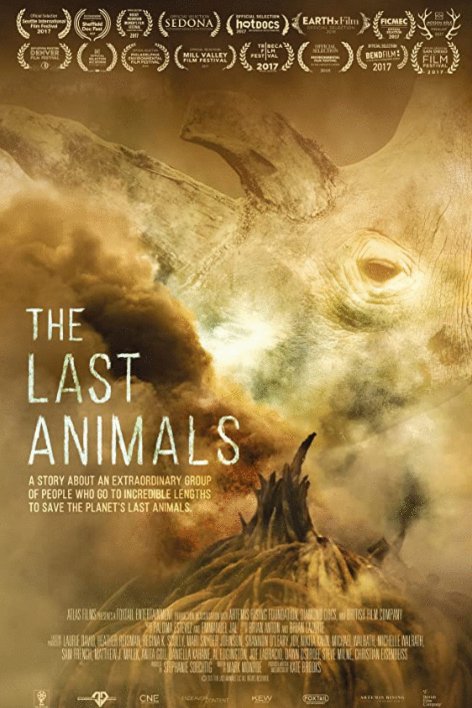 L'affiche du film The Last Animals