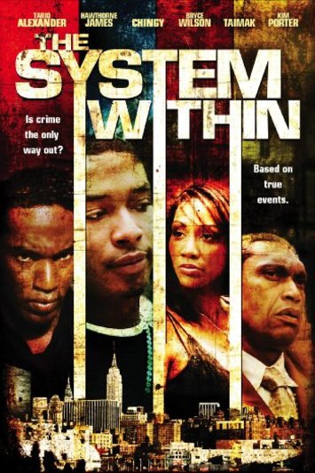 L'affiche du film The System Within