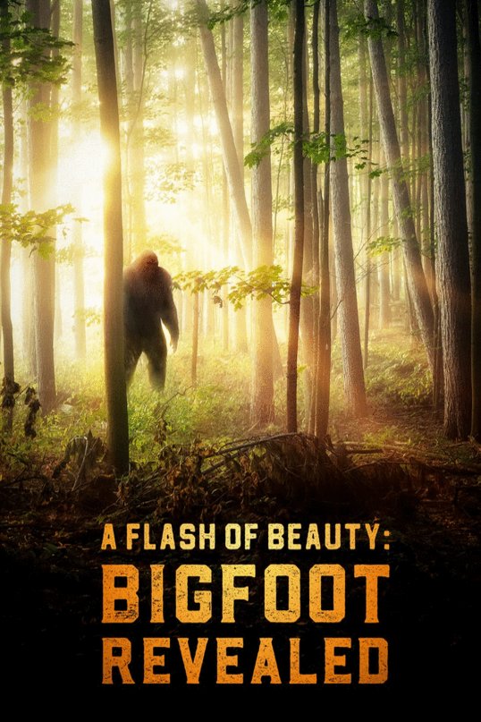 L'affiche du film A Flash of Beauty: Bigfoot Revealed