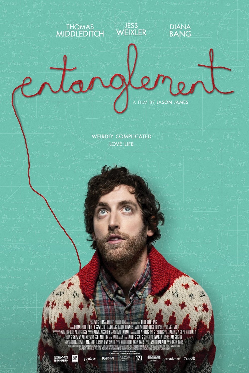 L'affiche du film Entanglement