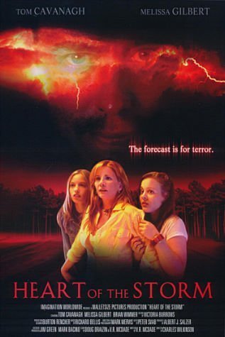 Poster of the movie Heart of the Storm [2004]