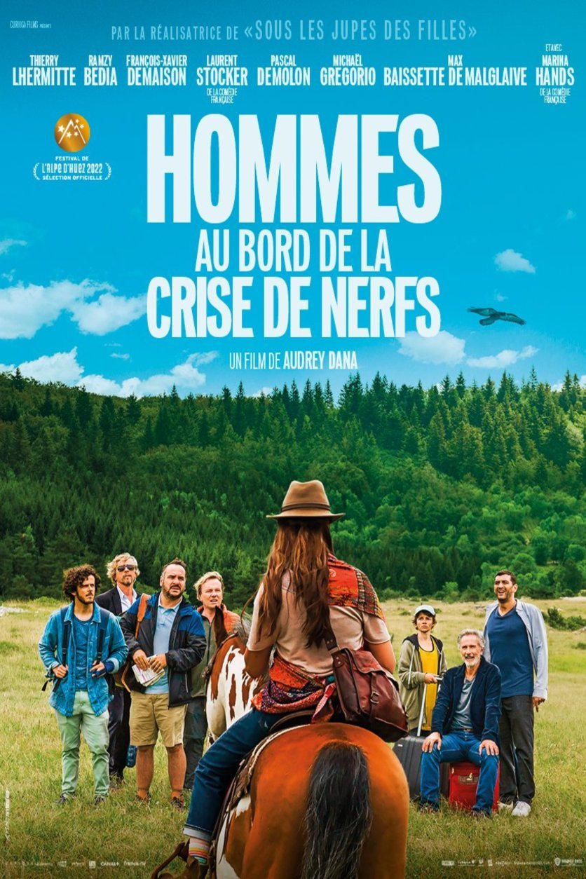 Poster of the movie Hommes au bord de la crise de nerfs