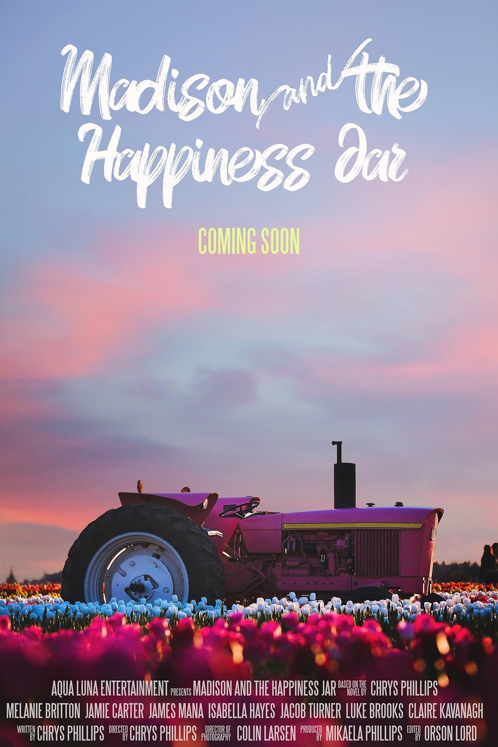 L'affiche du film Madison and the Happiness Jar
