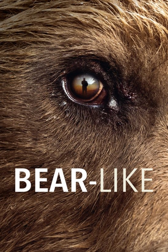 L'affiche du film Bear-Like