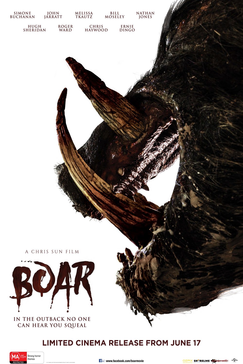 L'affiche du film Boar