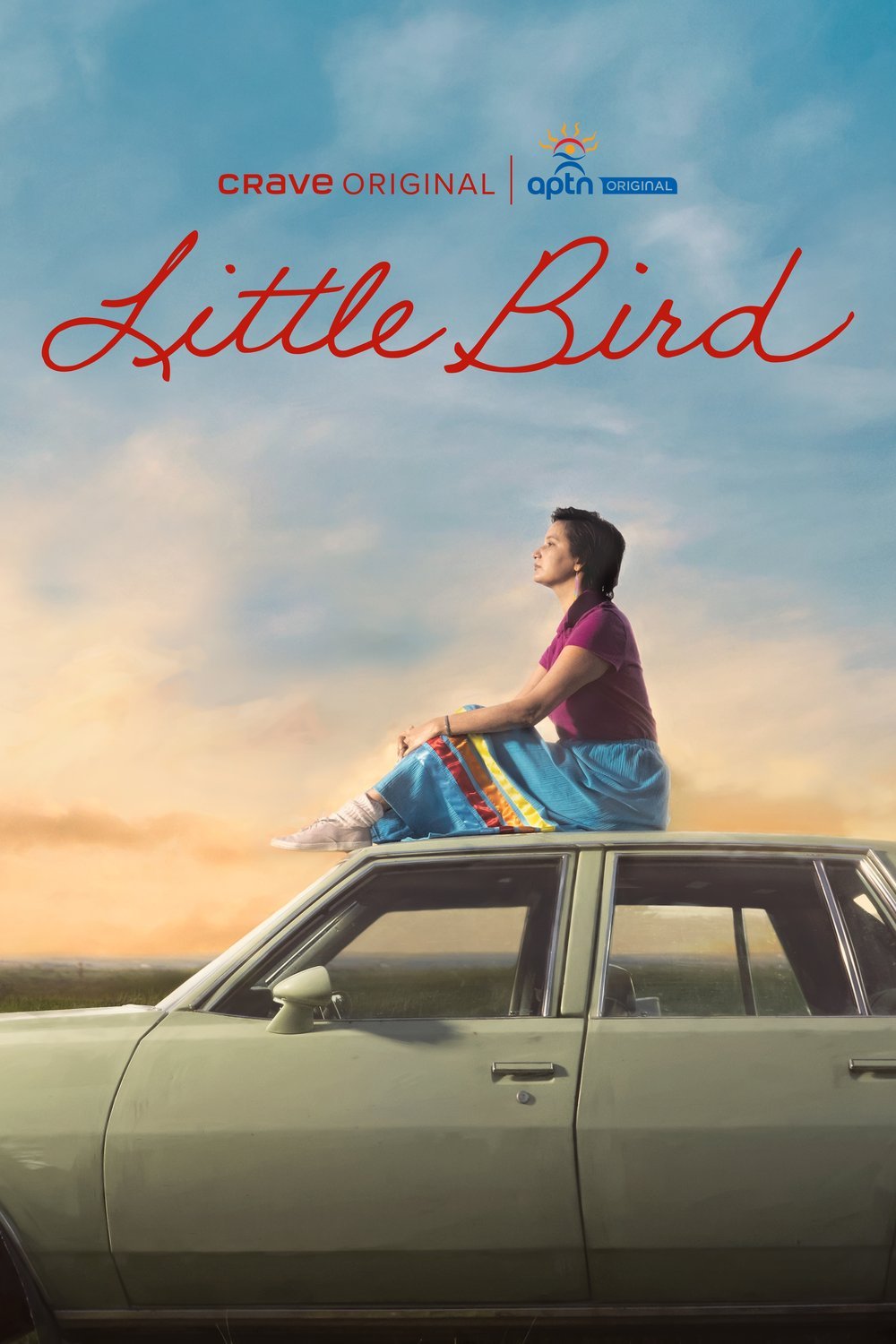 L'affiche du film Little Bird