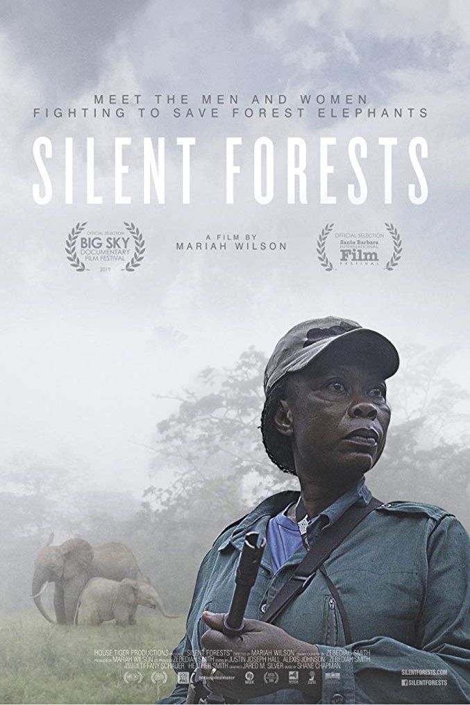 L'affiche du film Silent Forests