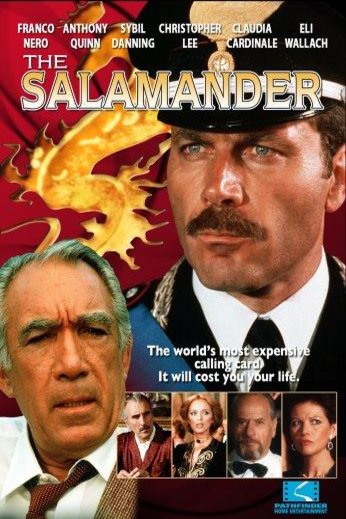 Poster of the movie The Salamander