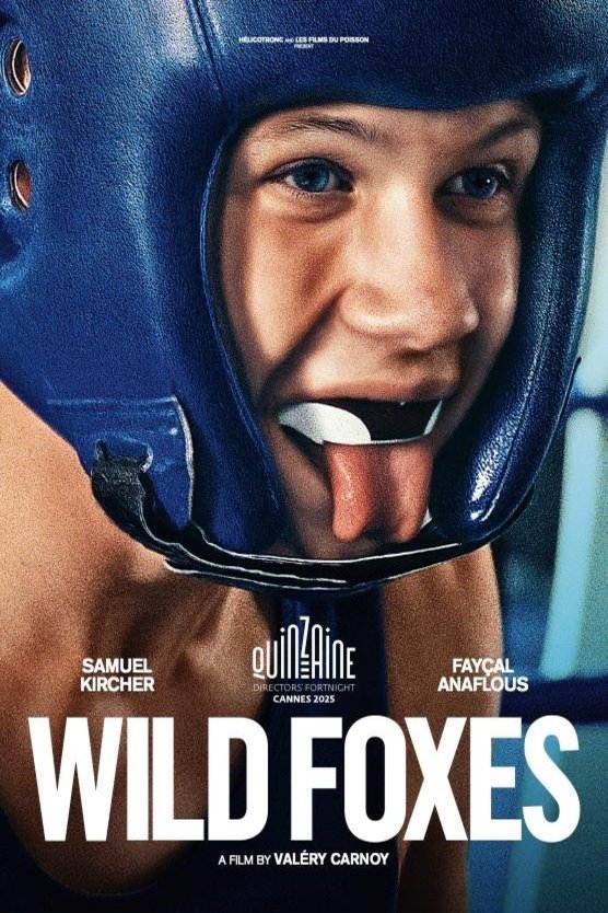 L'affiche du film Wild Foxes [2025]