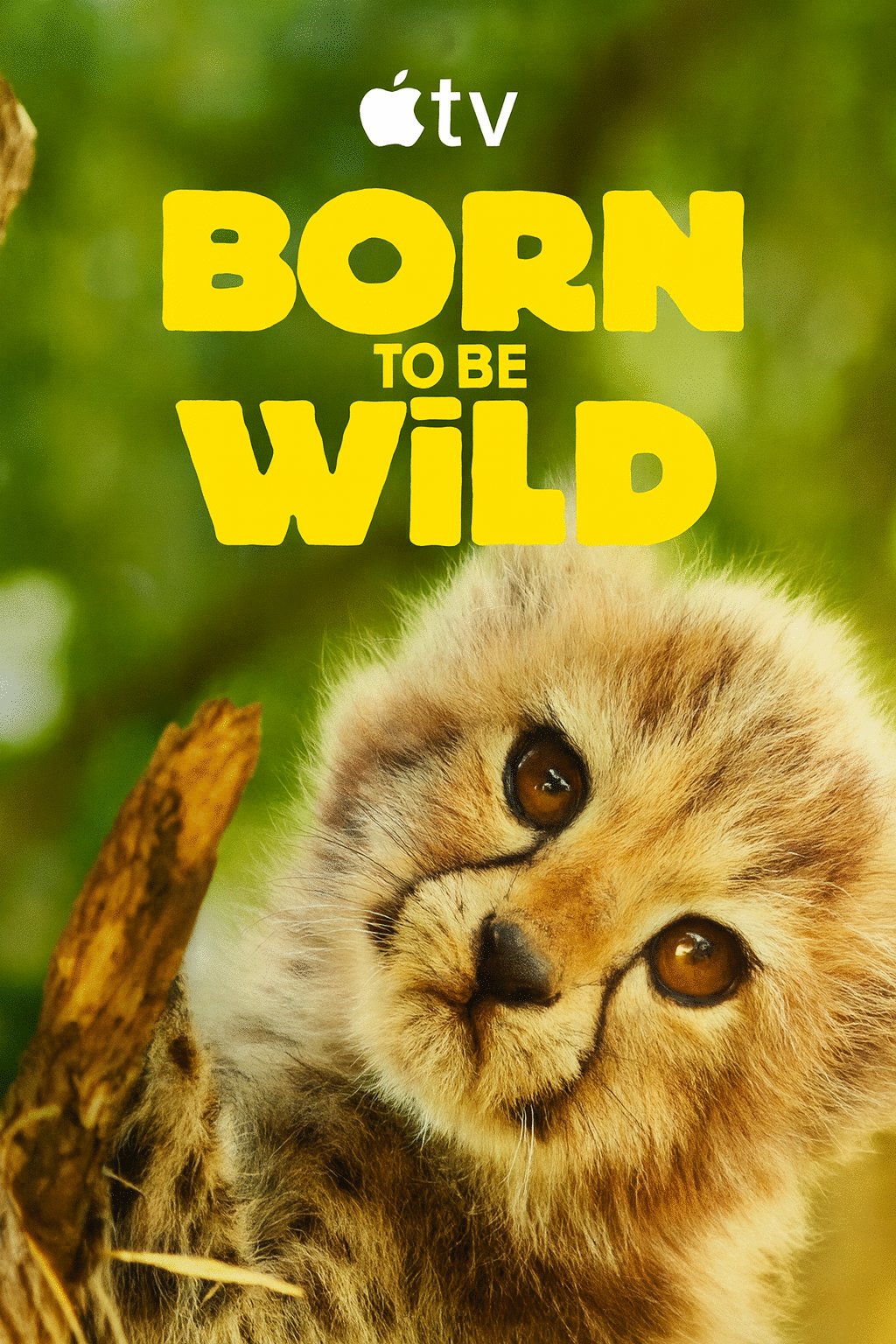 L'affiche du film Born to be Wild