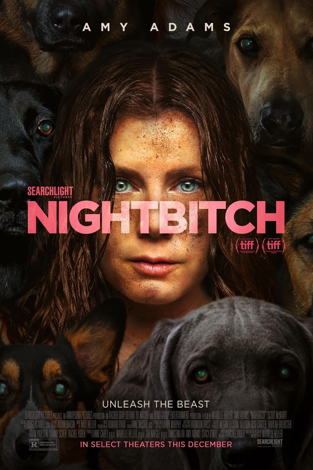 L'affiche du film Nightbitch