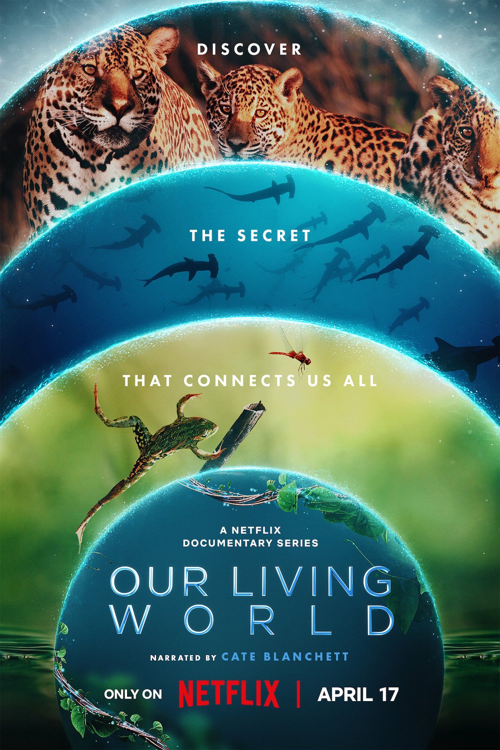 Poster of the movie Our Living World