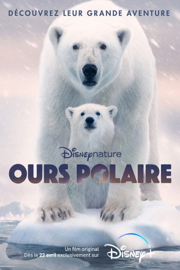 L'affiche du film Ours polaire