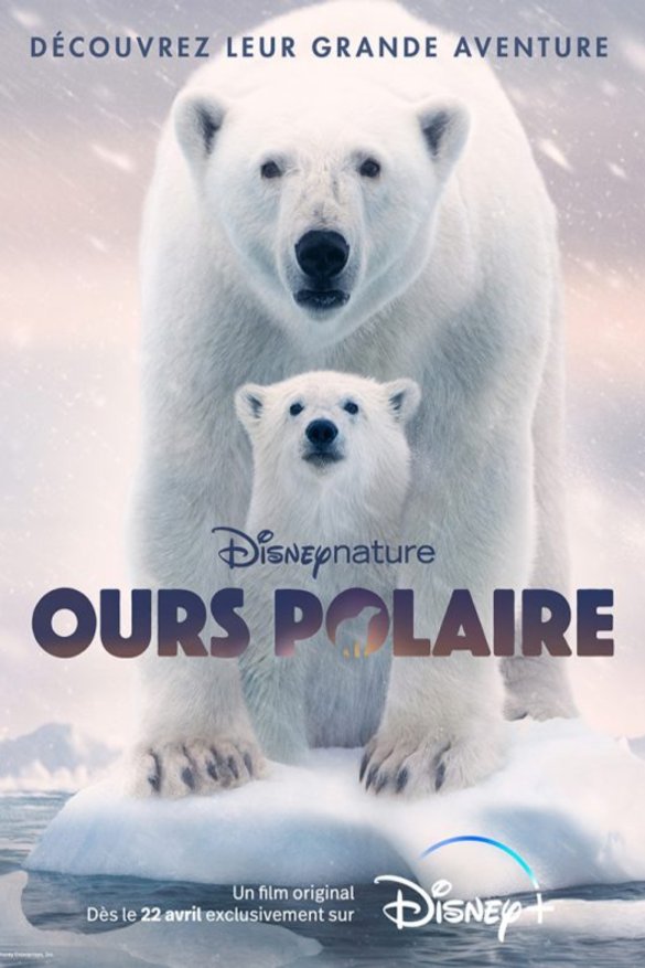 Poster of the movie Ours polaire [2022]