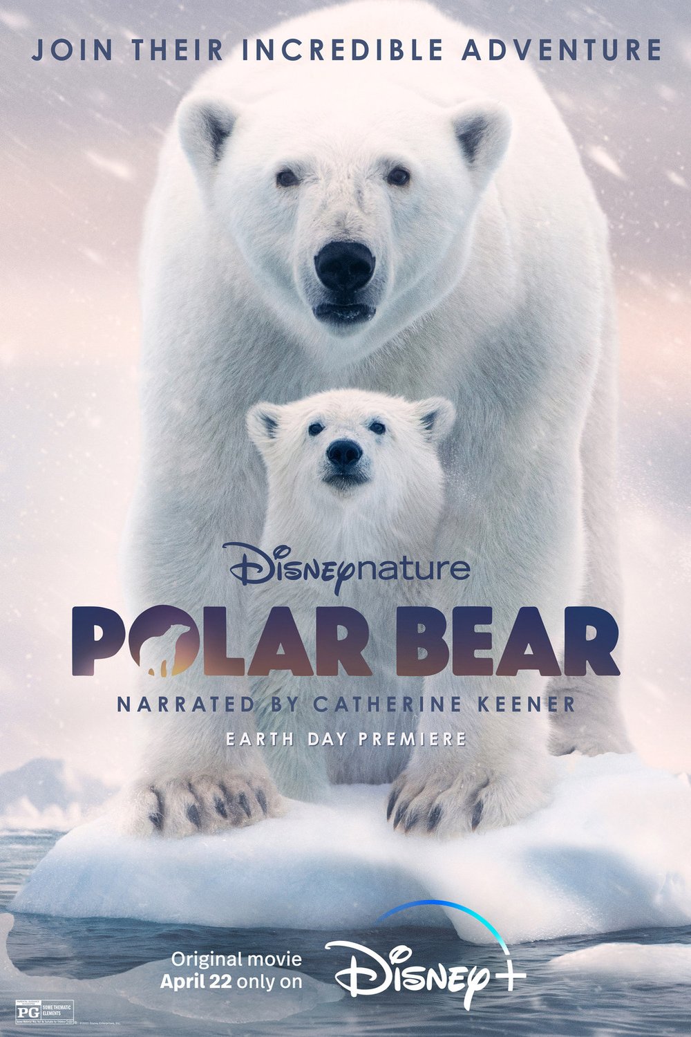 Poster of the movie Polar Bear