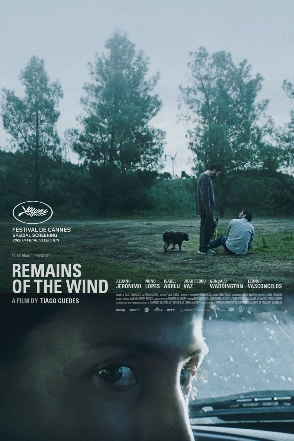 L'affiche du film Remains of the Wind [2022]