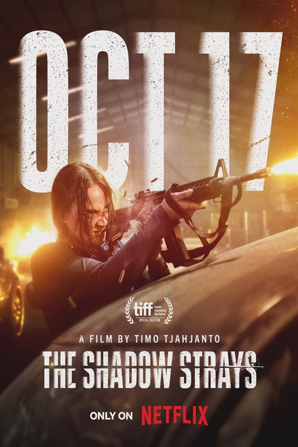 Poster of the movie The Shadow Strays [2024]