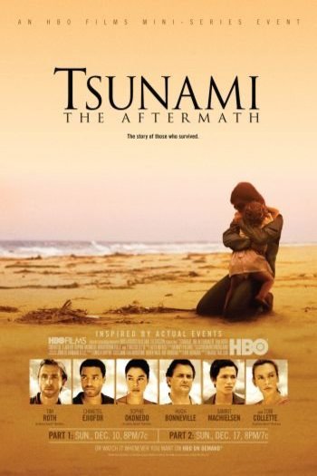 Poster of the movie Tsunami: The Aftermath