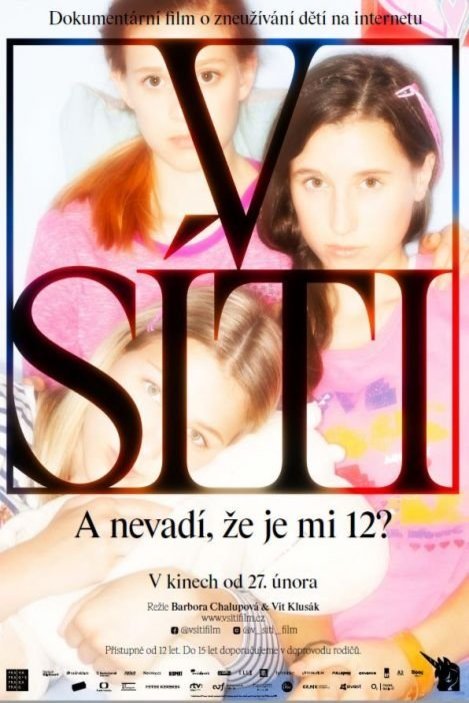 L'affiche originale du film V síti en tchèque
