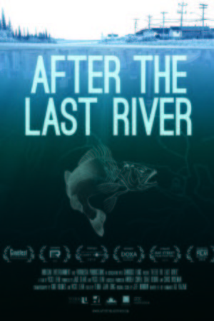 L'affiche du film After the Last River
