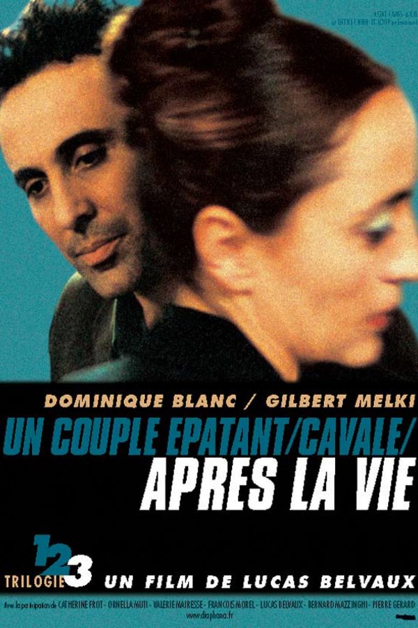 L'affiche du film Après la vie