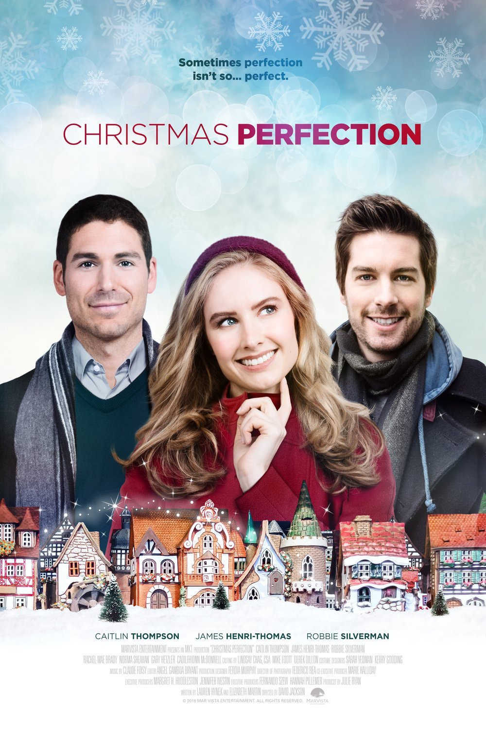 L'affiche du film Christmas Perfection