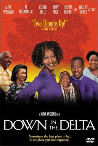 L'affiche du film Down in the Delta [1998]