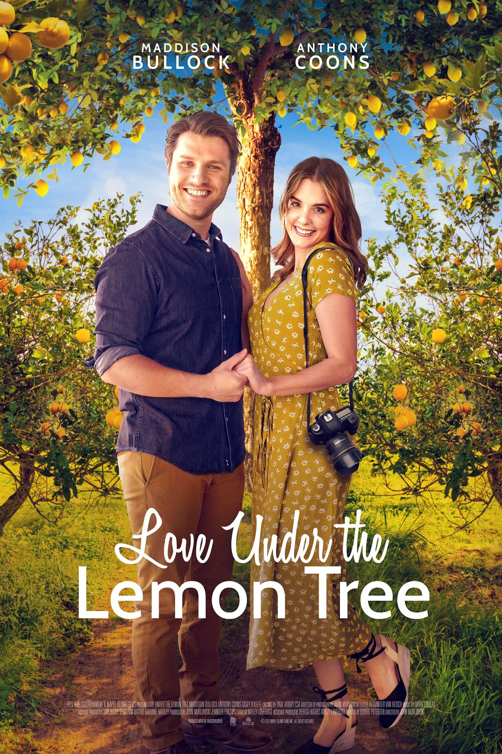 Poster of the movie Love Under the Lemon Tree
