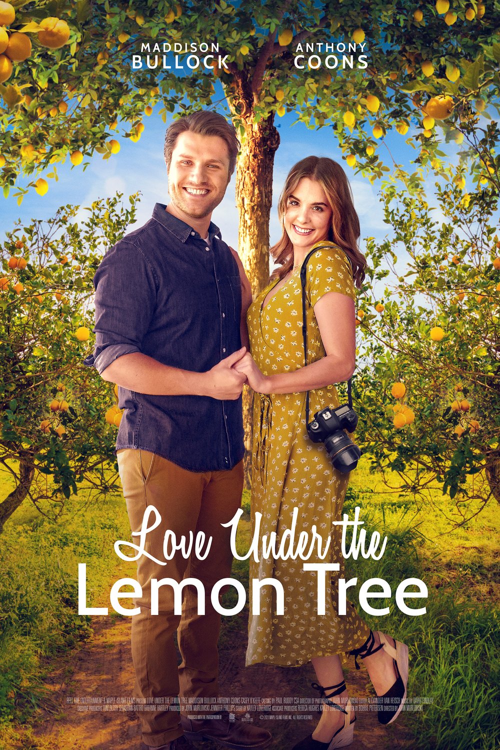 L'affiche du film Love Under the Lemon Tree [2022]