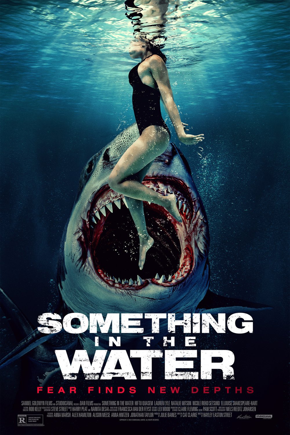 L'affiche du film Something in the Water