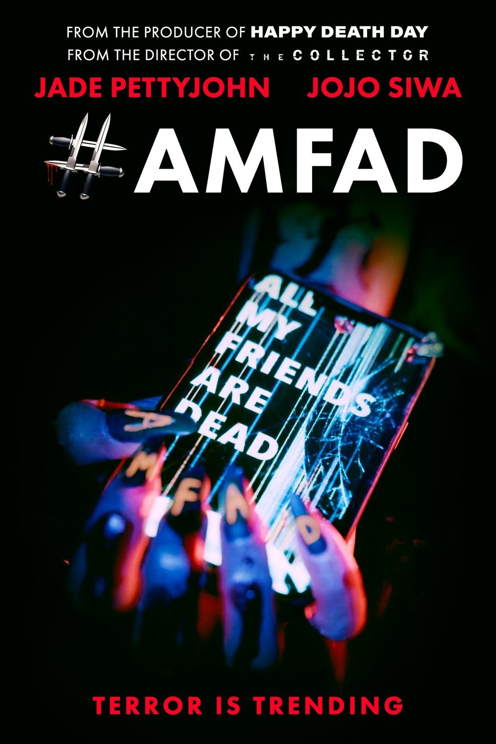 L'affiche du film AMFAD [2024]