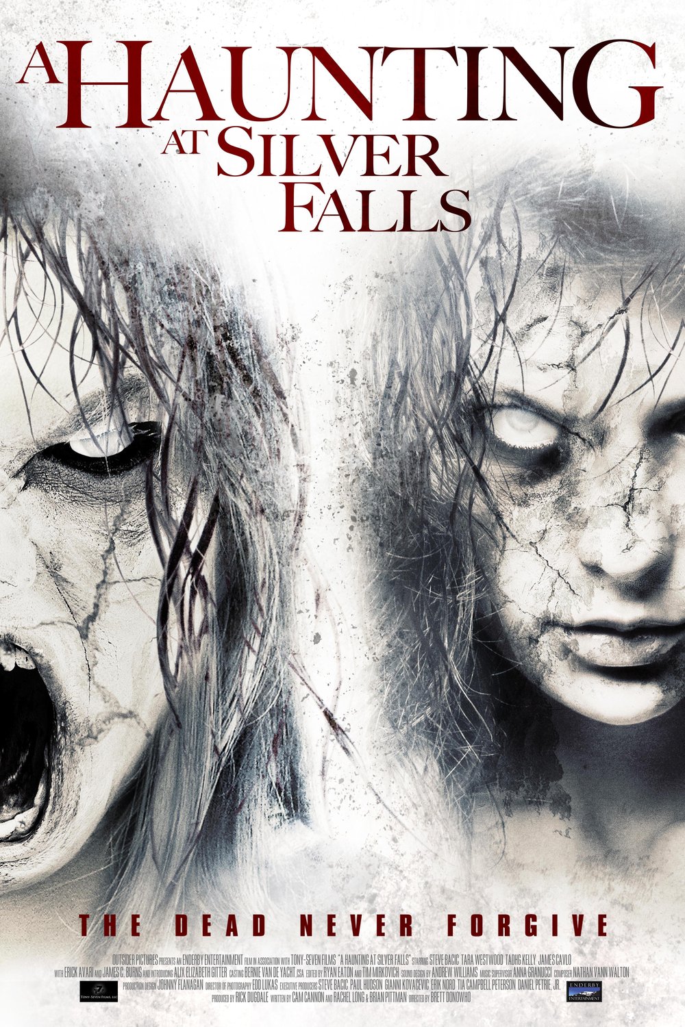 L'affiche du film A Haunting at Silver Falls