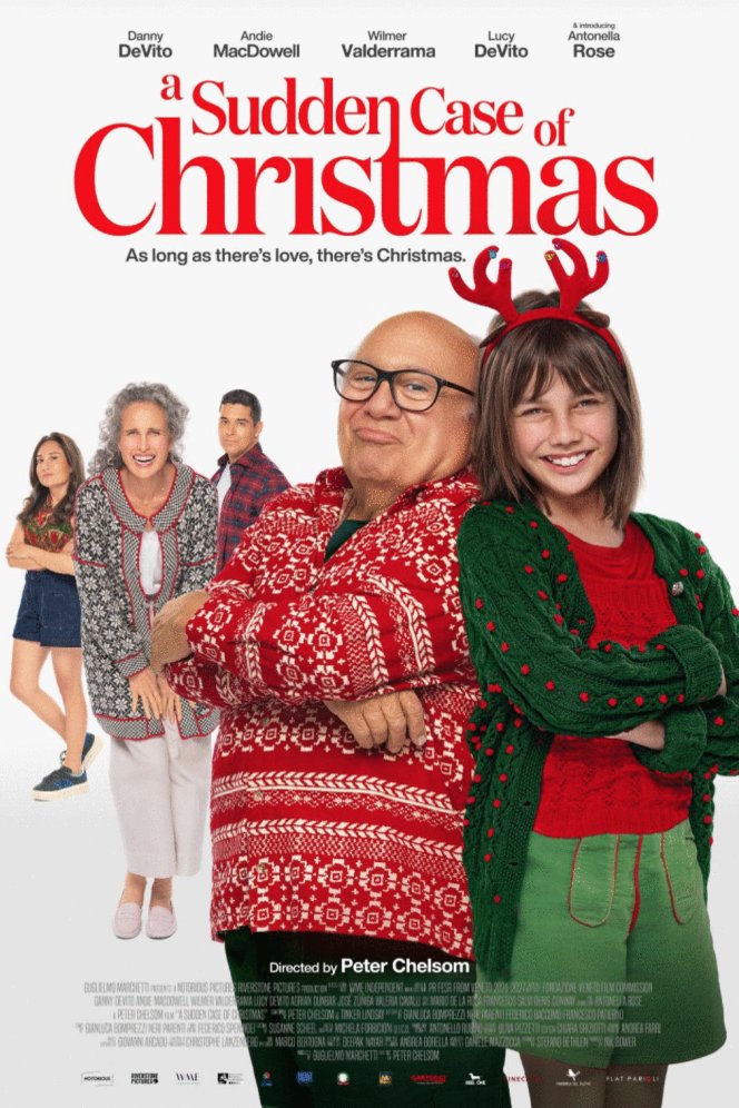 L'affiche du film A Sudden Case of Christmas [2024]