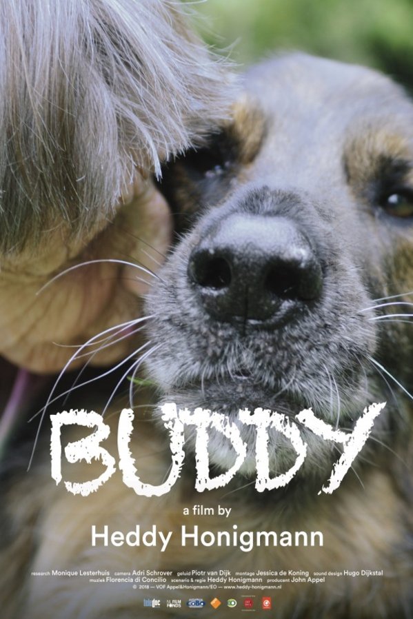 L'affiche originale du film Buddy en Néerlandais