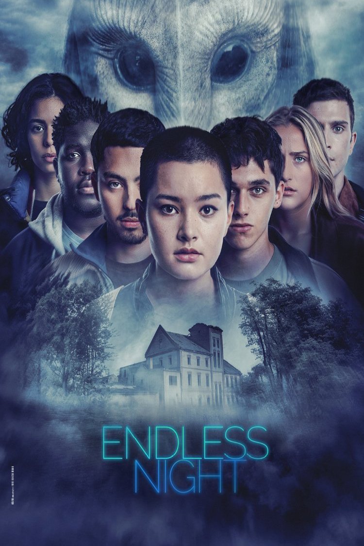 L'affiche du film Endless Night