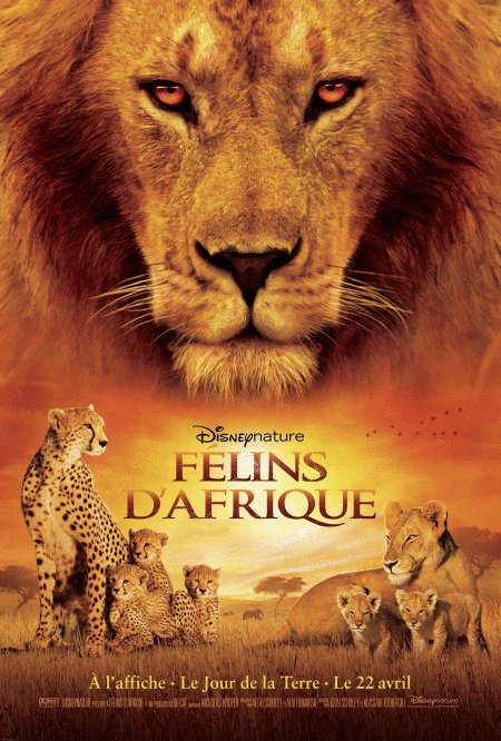 L'affiche du film Félins d'Afrique