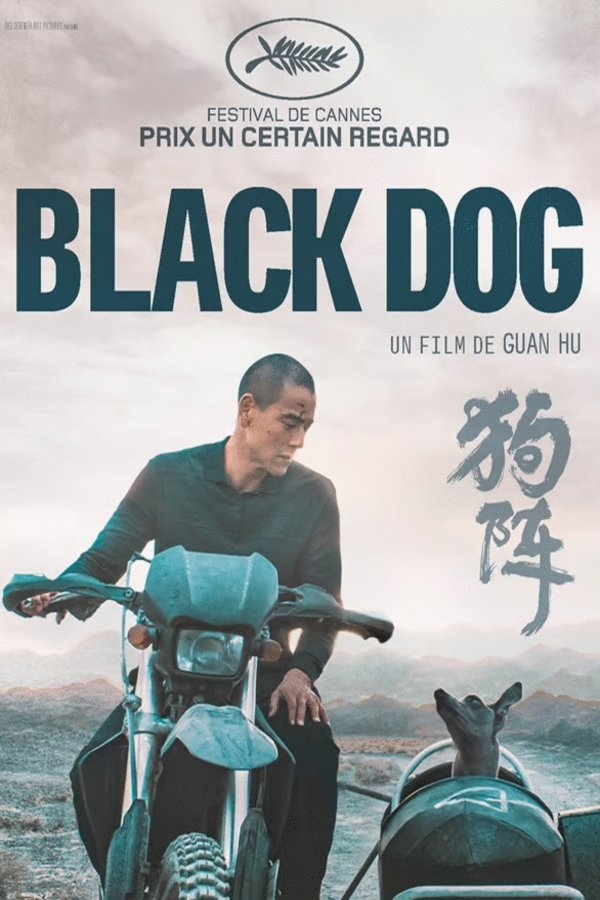 L'affiche du film Le chien noir