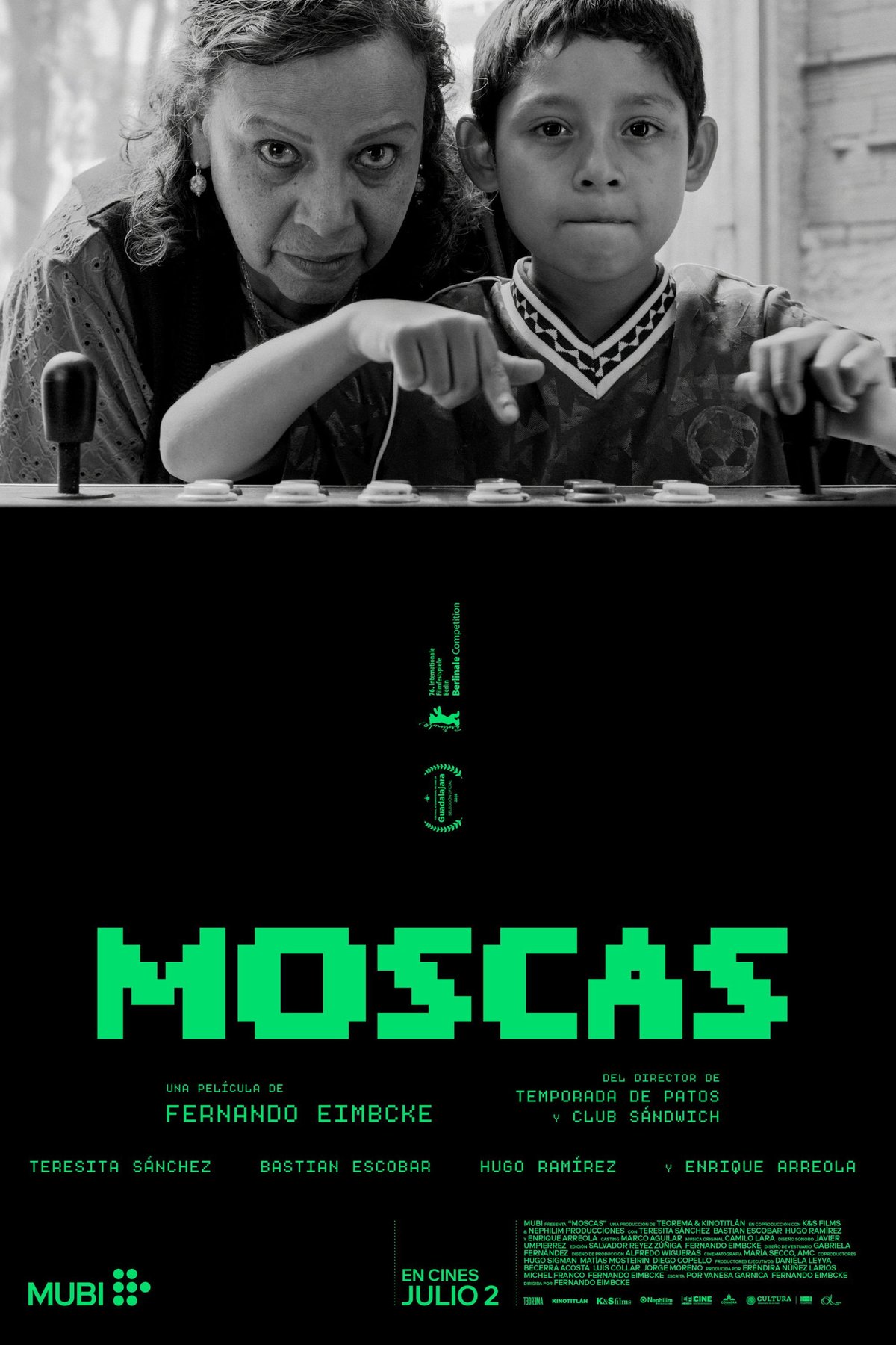 Poster of the movie Flies [2026]