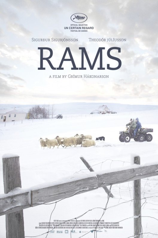 L'affiche du film Rams