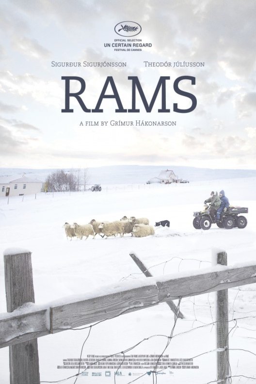 Poster of the movie Rams [2015]