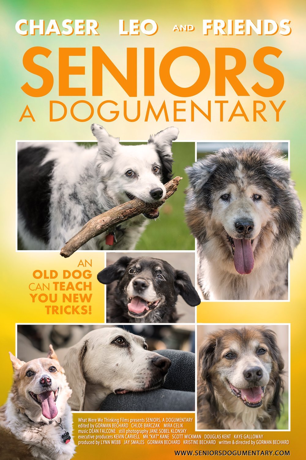 L'affiche du film Seniors, a dogumentary
