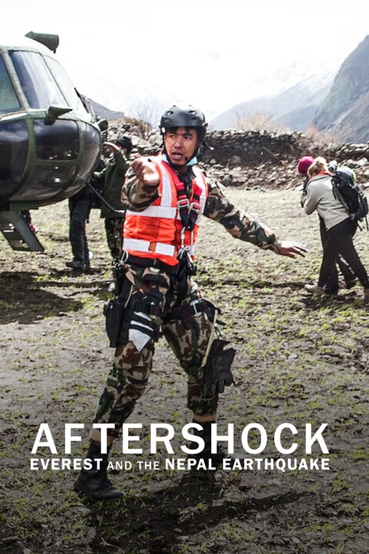 L'affiche du film Aftershock: Everest and the Nepal Earthquake [2022]