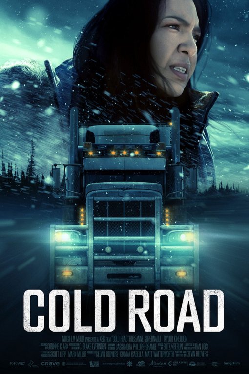 L'affiche du film Cold Road