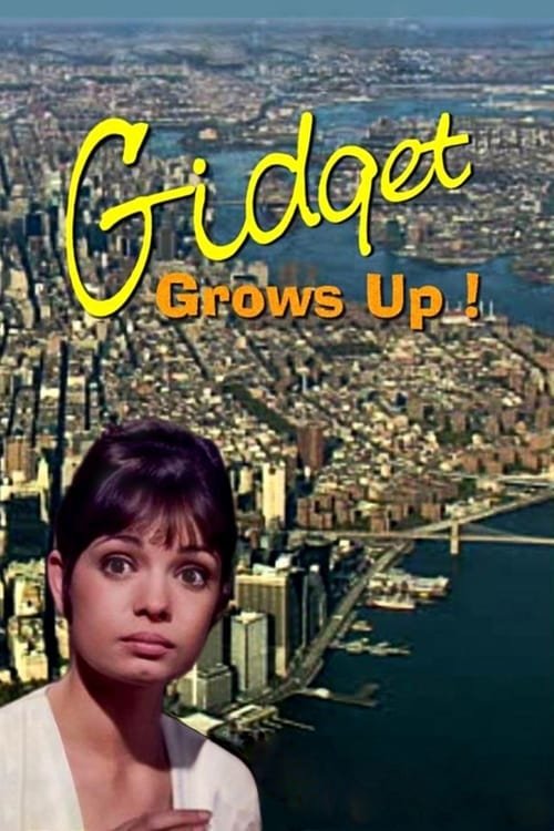 L'affiche du film Gidget Grows Up
